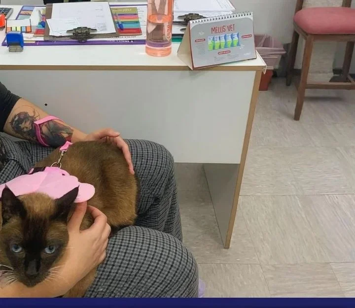 My Clone is the Space Bug King Chapter 56 Gambar 24