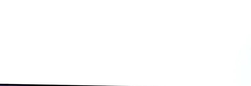 My System Is Very Serious Chapter 27 Gambar 8