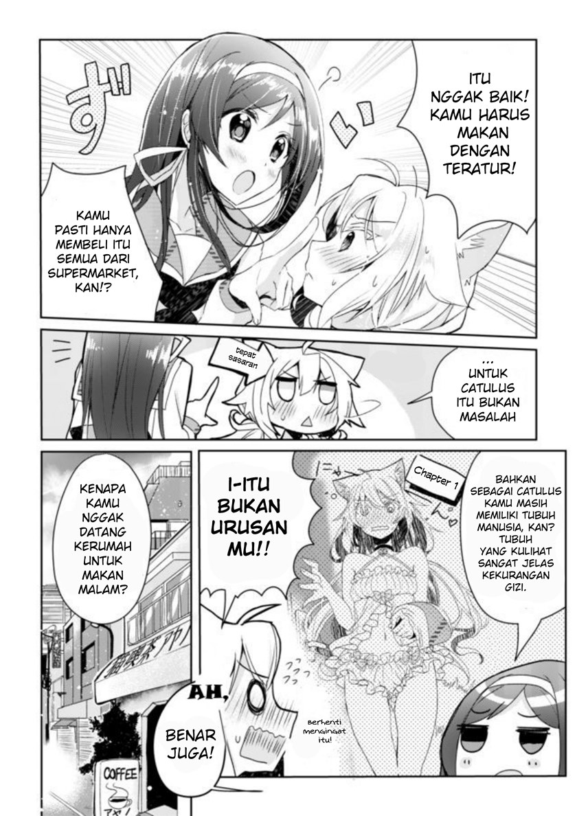 Catulus Syndrome Chapter 2 Gambar 6