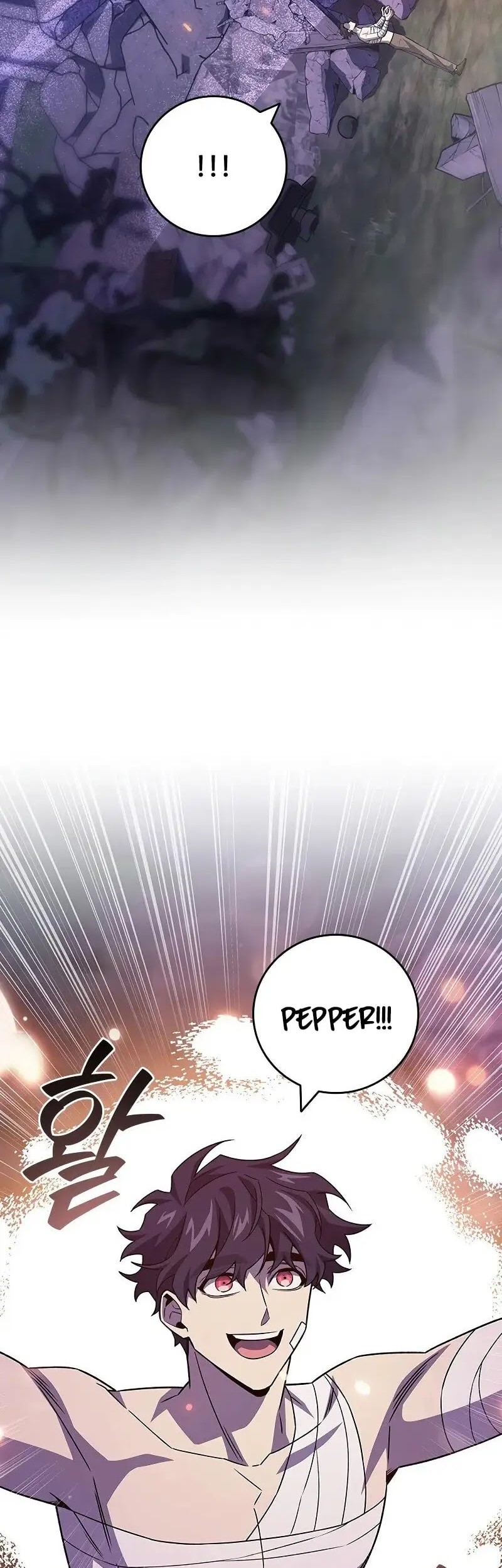 Dragon-Devouring Mage Chapter 98 Gambar 31