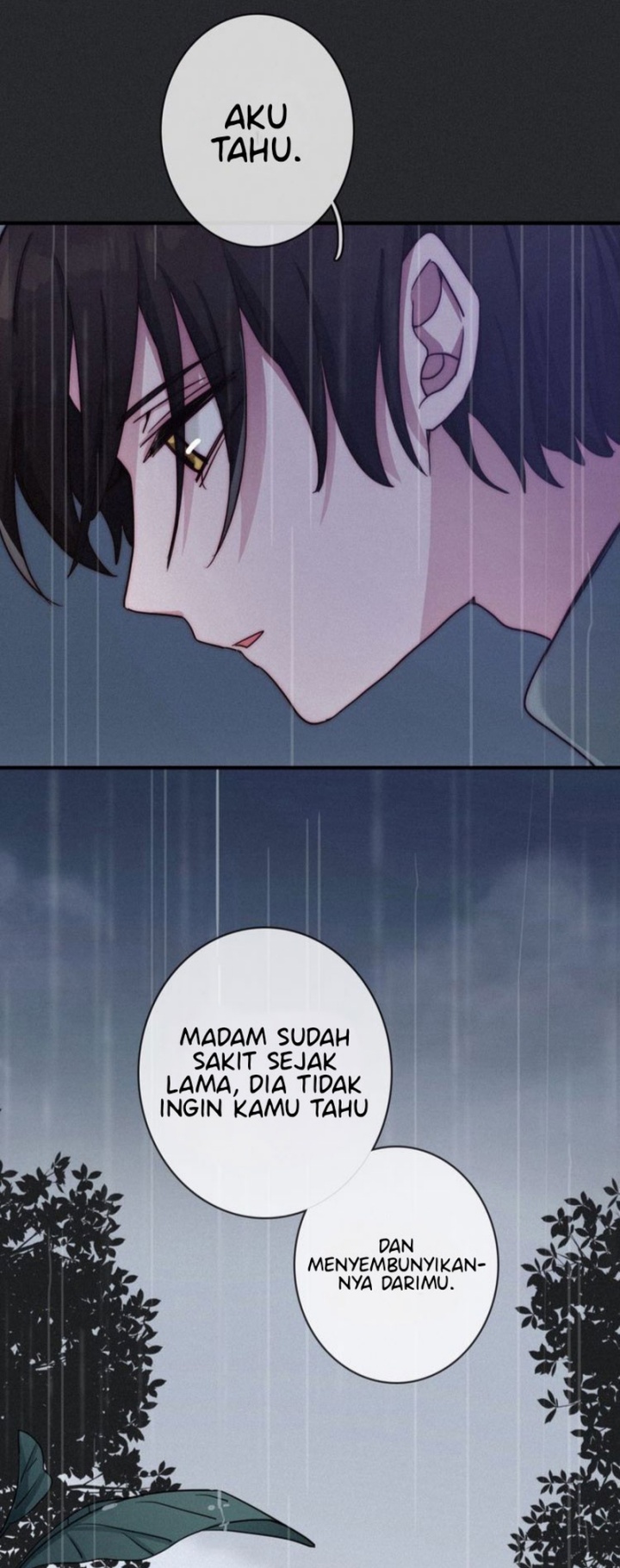 Falling in the Night with You Chapter 26 Gambar 26