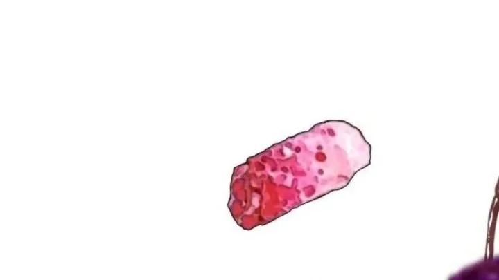 Godeokchun's Food Truck Chapter 6 Gambar 10