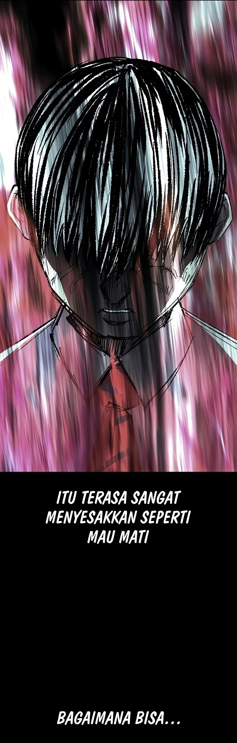 Hallym Gymnasium Chapter 243 Gambar 25