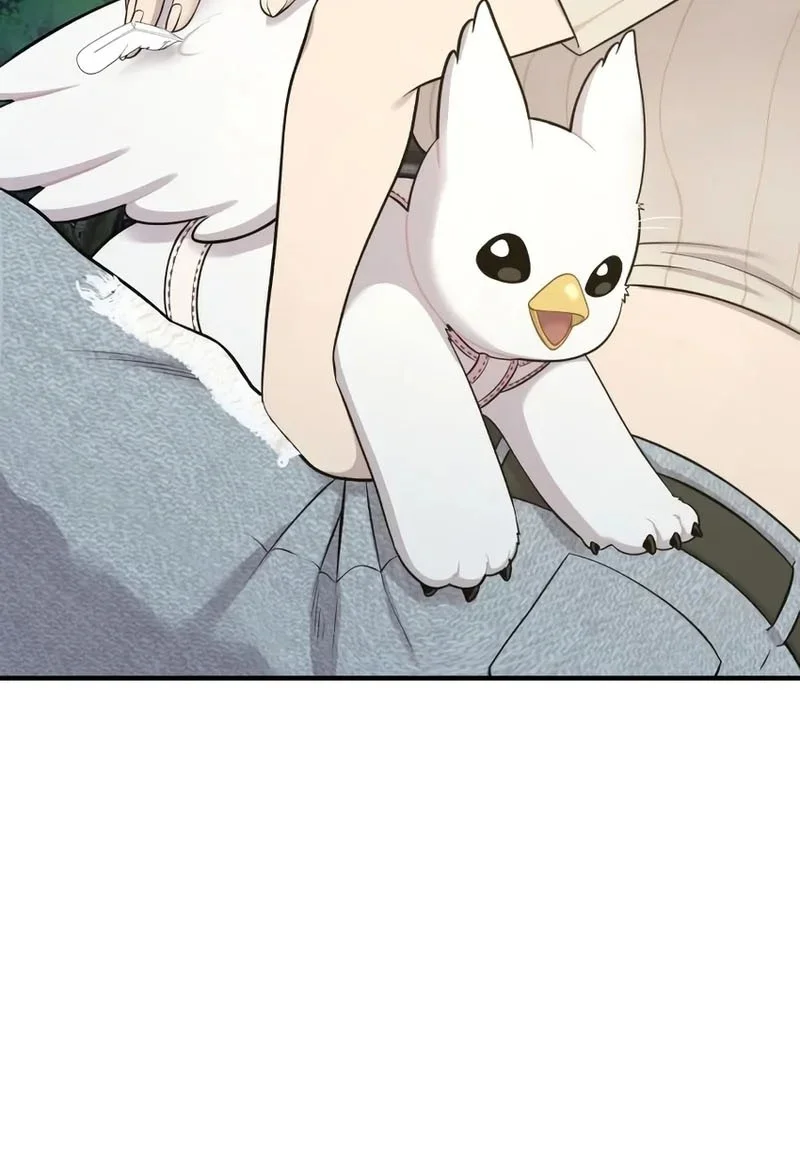 Hello, Fluffy Griffin! Chapter 13 Gambar 15