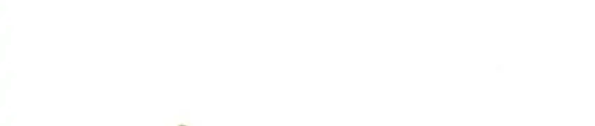 Kim Ohjin’s Adventures With Strange Animals Chapter 44 Gambar 8