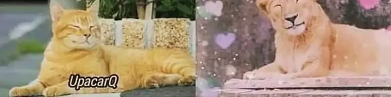 Past Life Regressor (Remake 2022) Chapter 140 Gambar 156