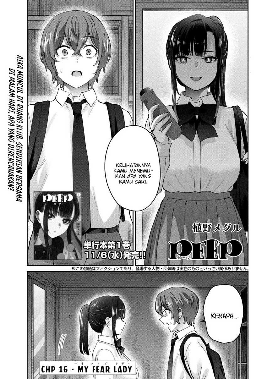 PEEP Chapter 16 Gambar 4
