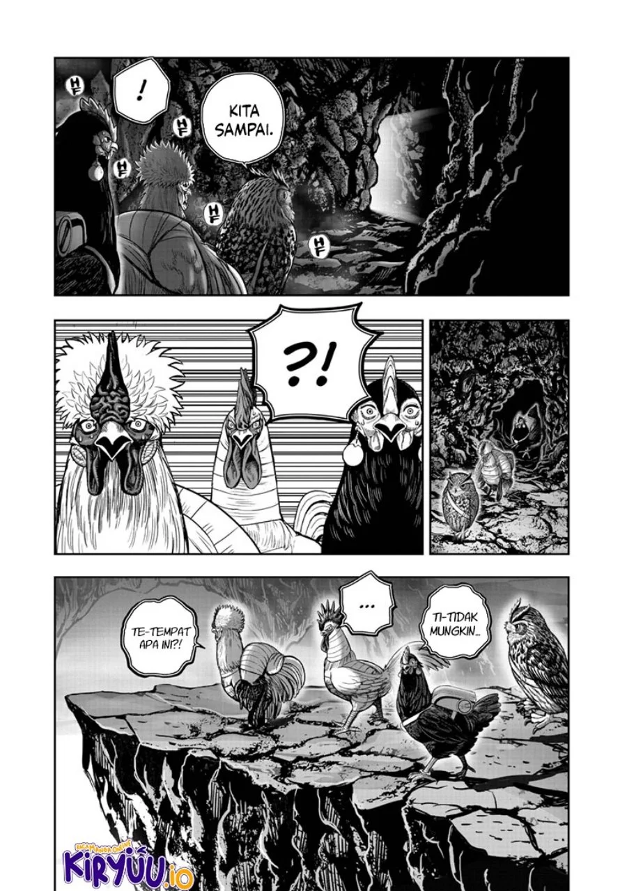 Rooster Fighter Chapter 43 Gambar 10