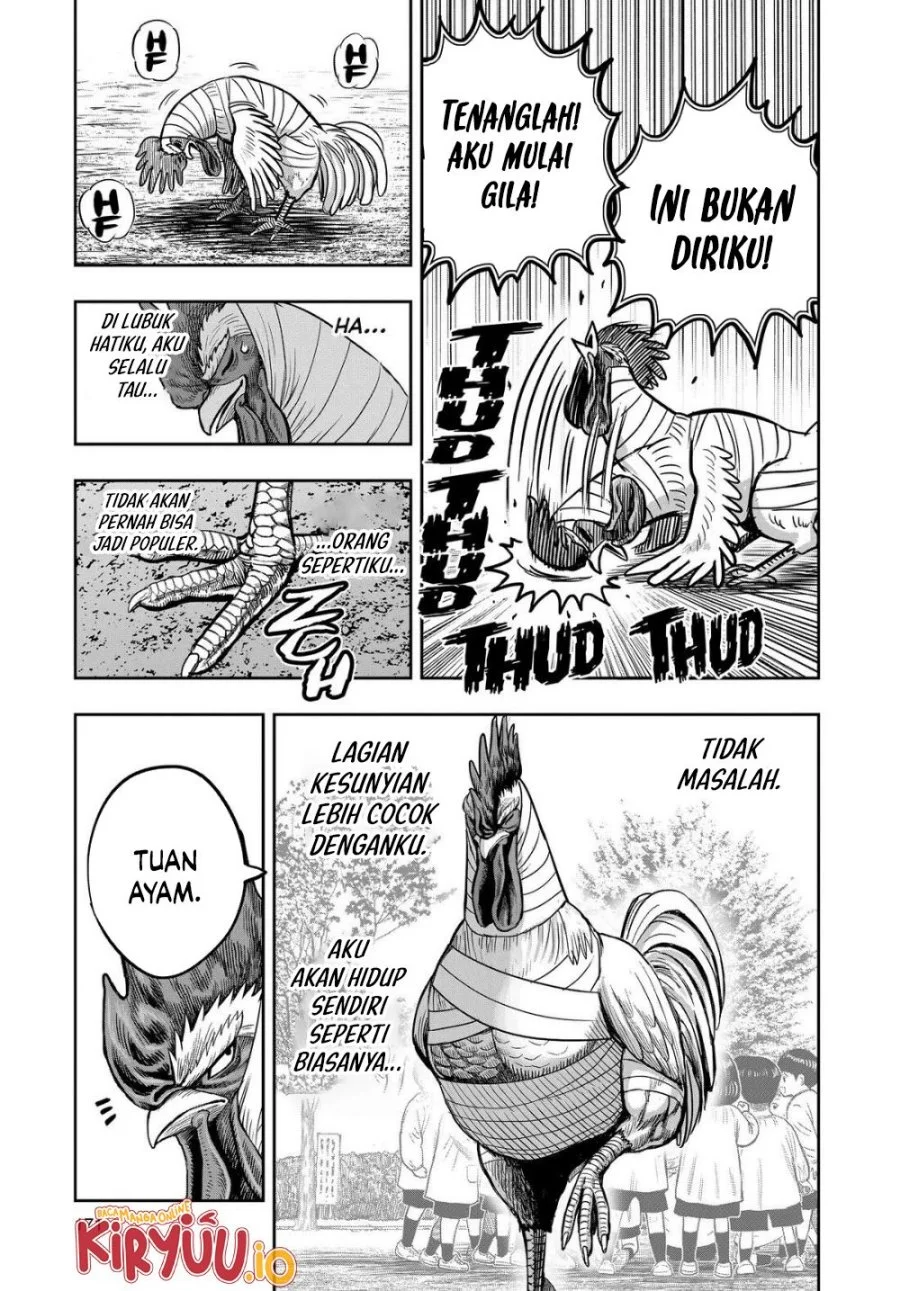Rooster Fighter Chapter 31 Gambar 28