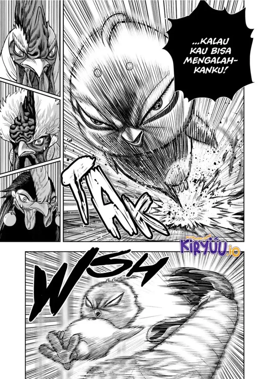 Rooster Fighter Chapter 33 Gambar 8
