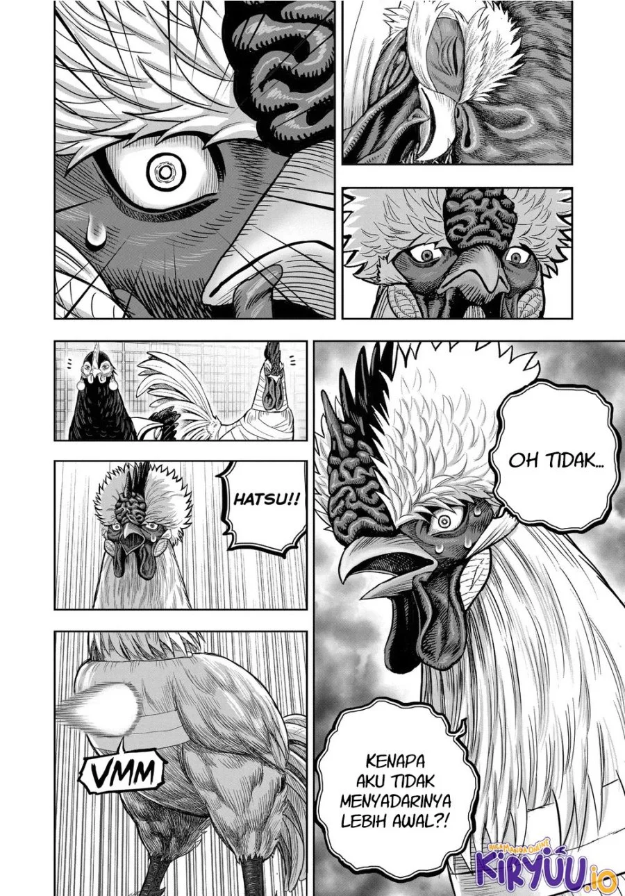 Rooster Fighter Chapter 34 Gambar 15