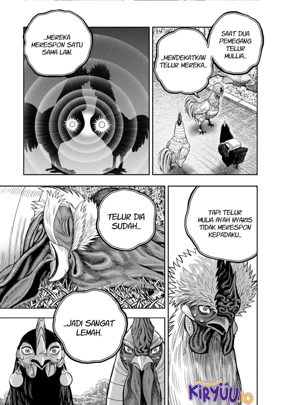Rooster Fighter Chapter 34 Gambar 18