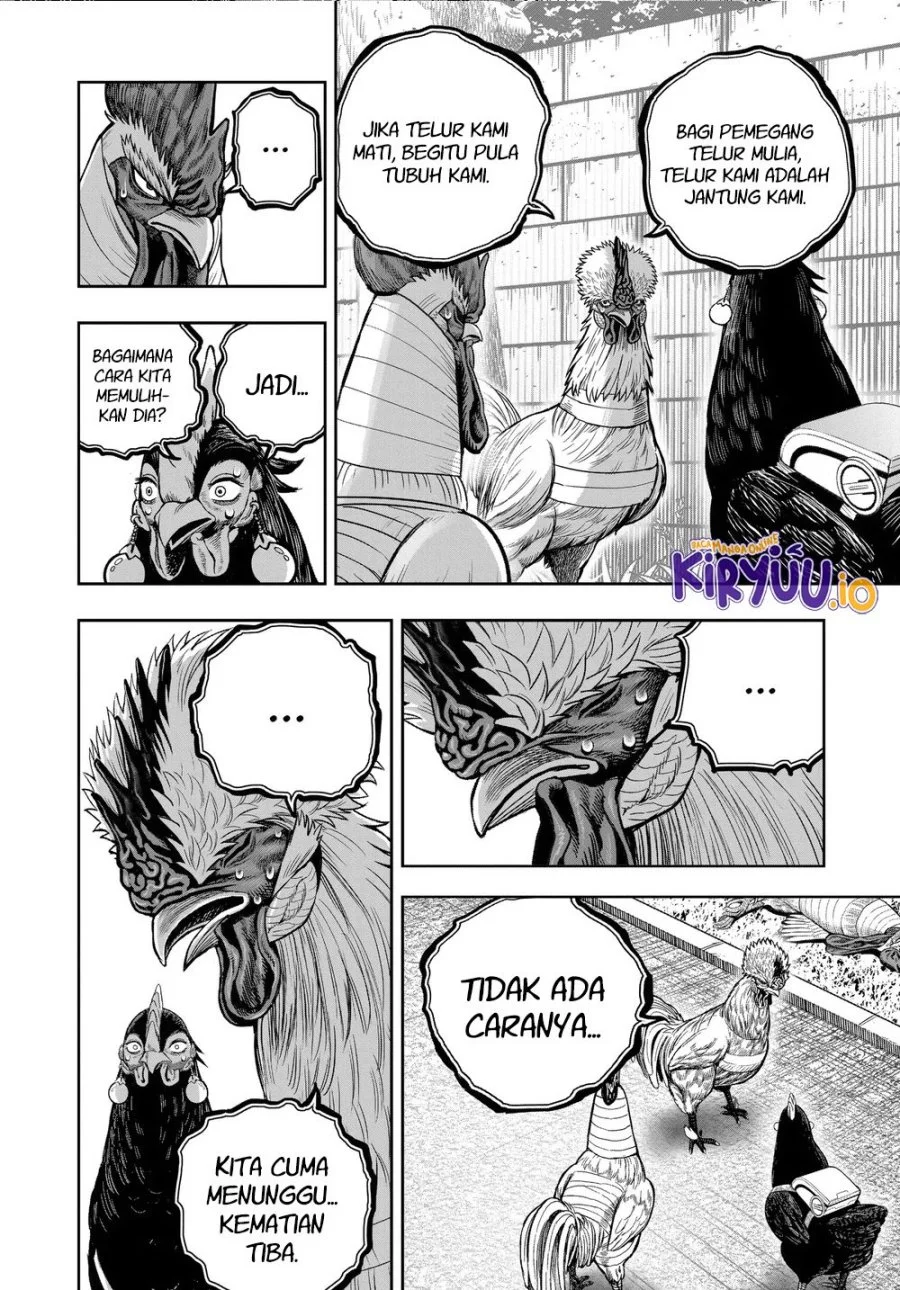 Rooster Fighter Chapter 34 Gambar 19