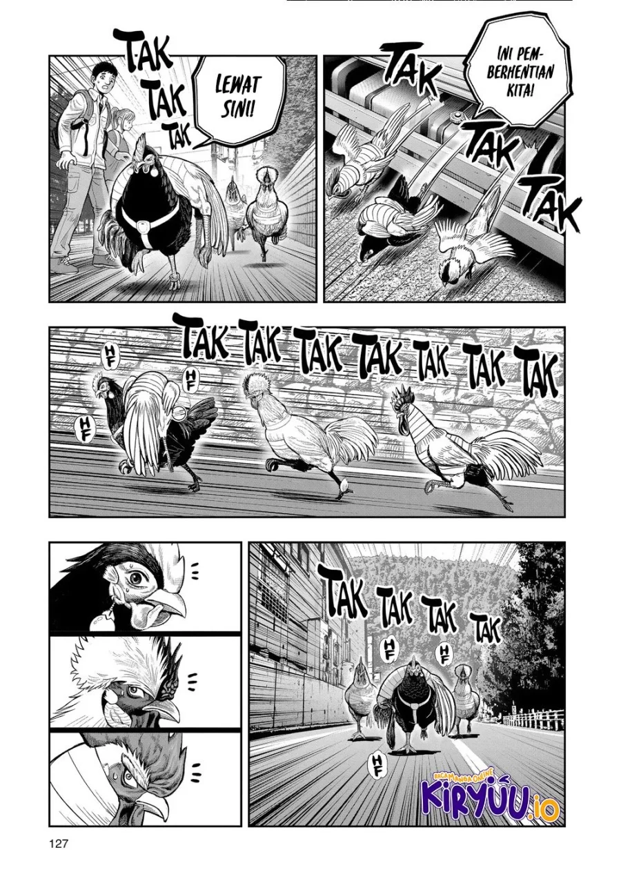Rooster Fighter Chapter 36 Gambar 16