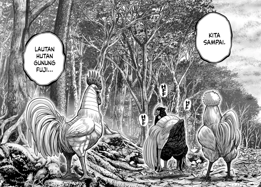 Rooster Fighter Chapter 36 Gambar 24
