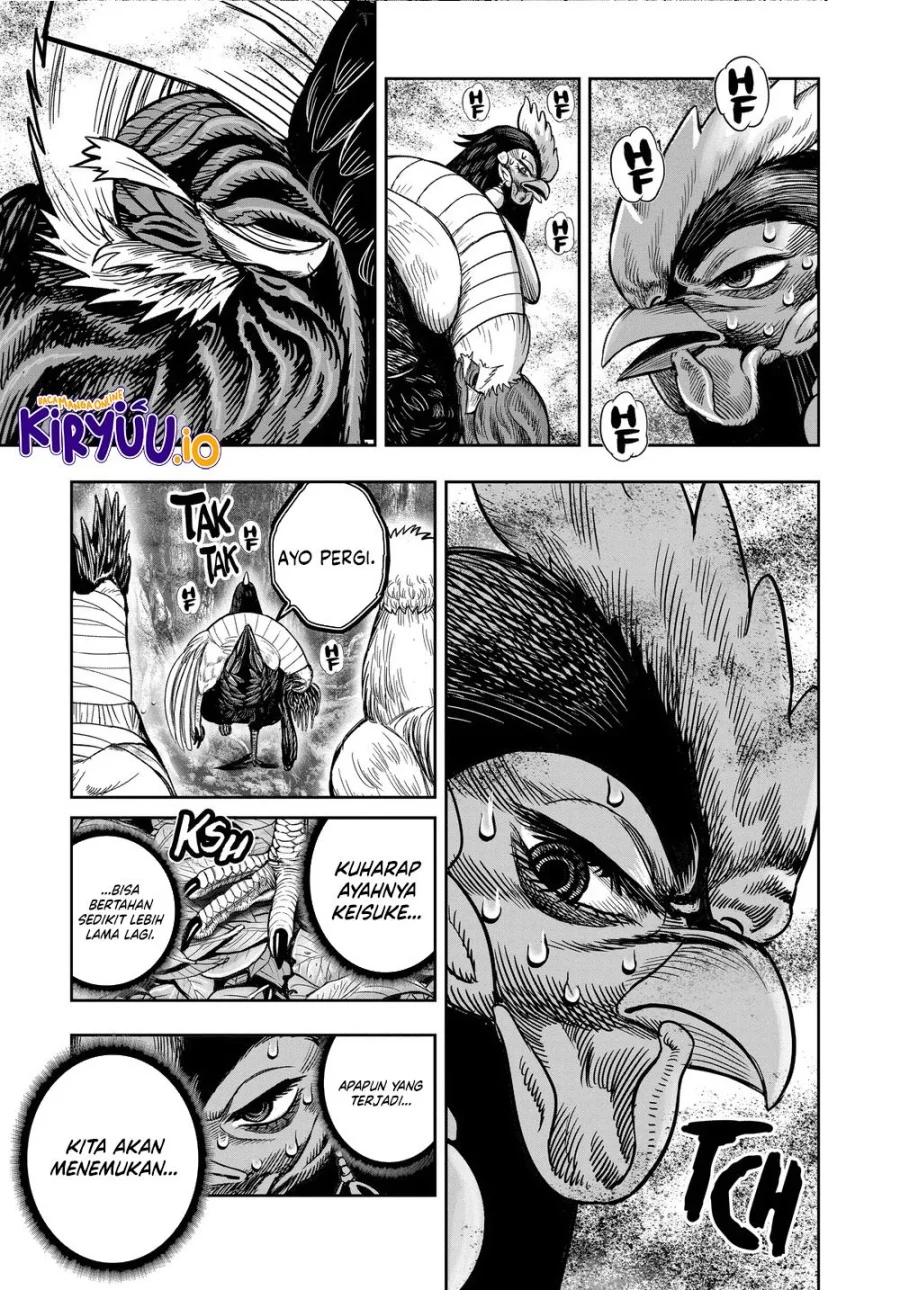 Rooster Fighter Chapter 36 Gambar 26