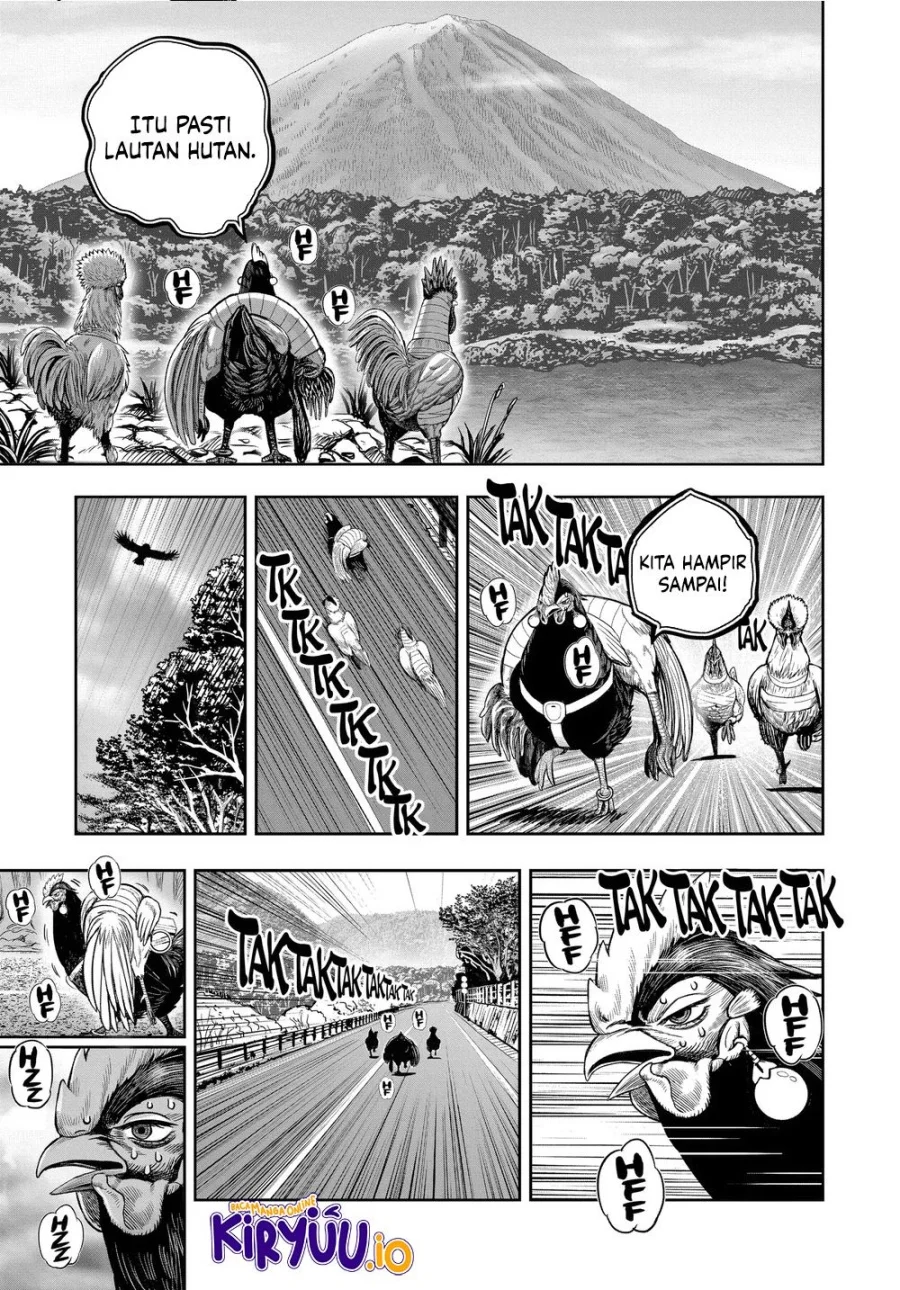 Rooster Fighter Chapter 36 Gambar 23