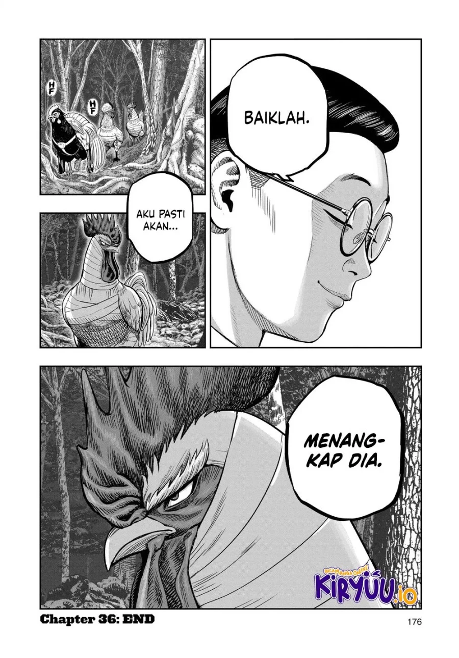 Rooster Fighter Chapter 36 Gambar 62