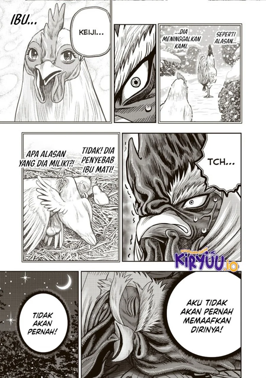 Rooster Fighter Chapter 37 Gambar 16