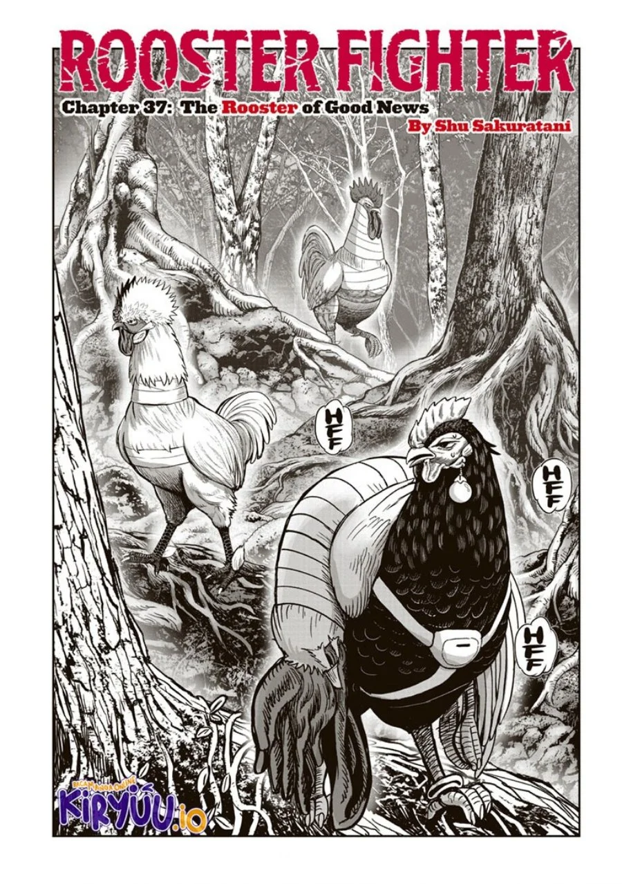 Manga Rooster Fighter Chapter 37 gambar nomor 2