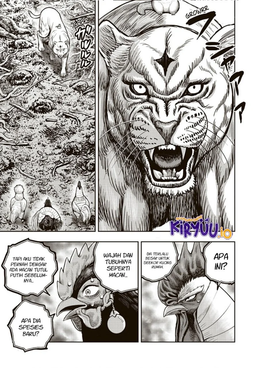 Rooster Fighter Chapter 37 Gambar 22