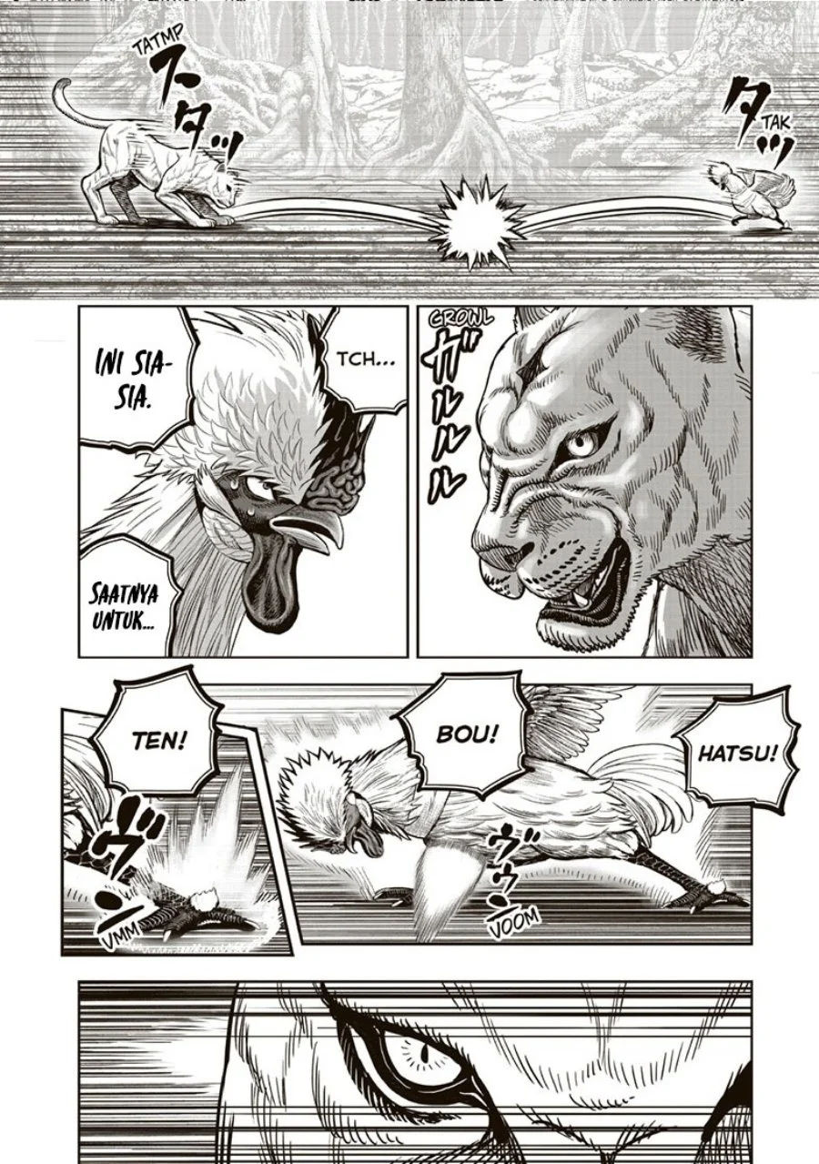 Rooster Fighter Chapter 37 Gambar 33