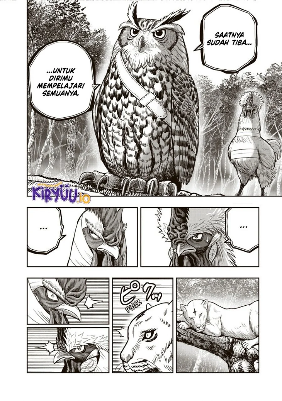 Rooster Fighter Chapter 38 Gambar 39