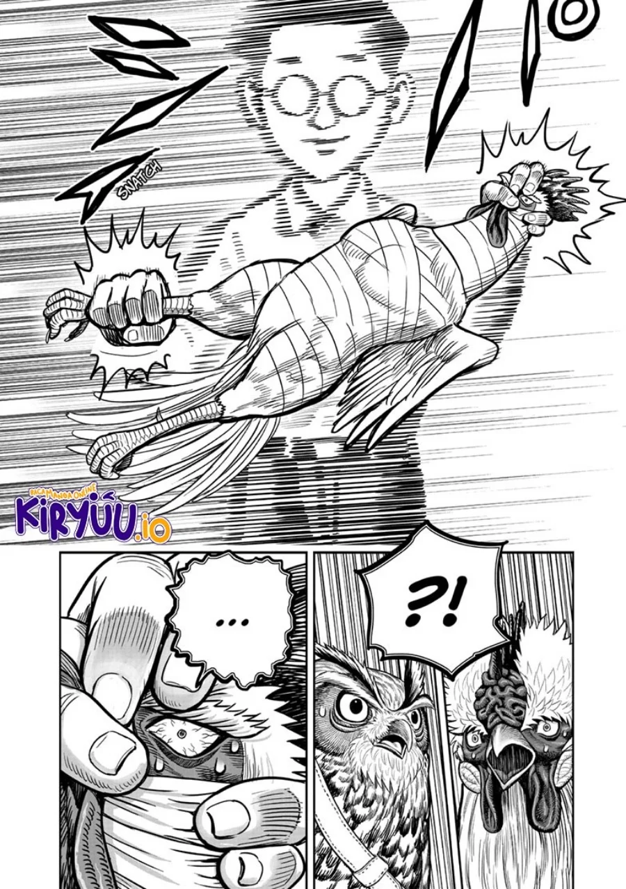 Rooster Fighter Chapter 39 Gambar 21