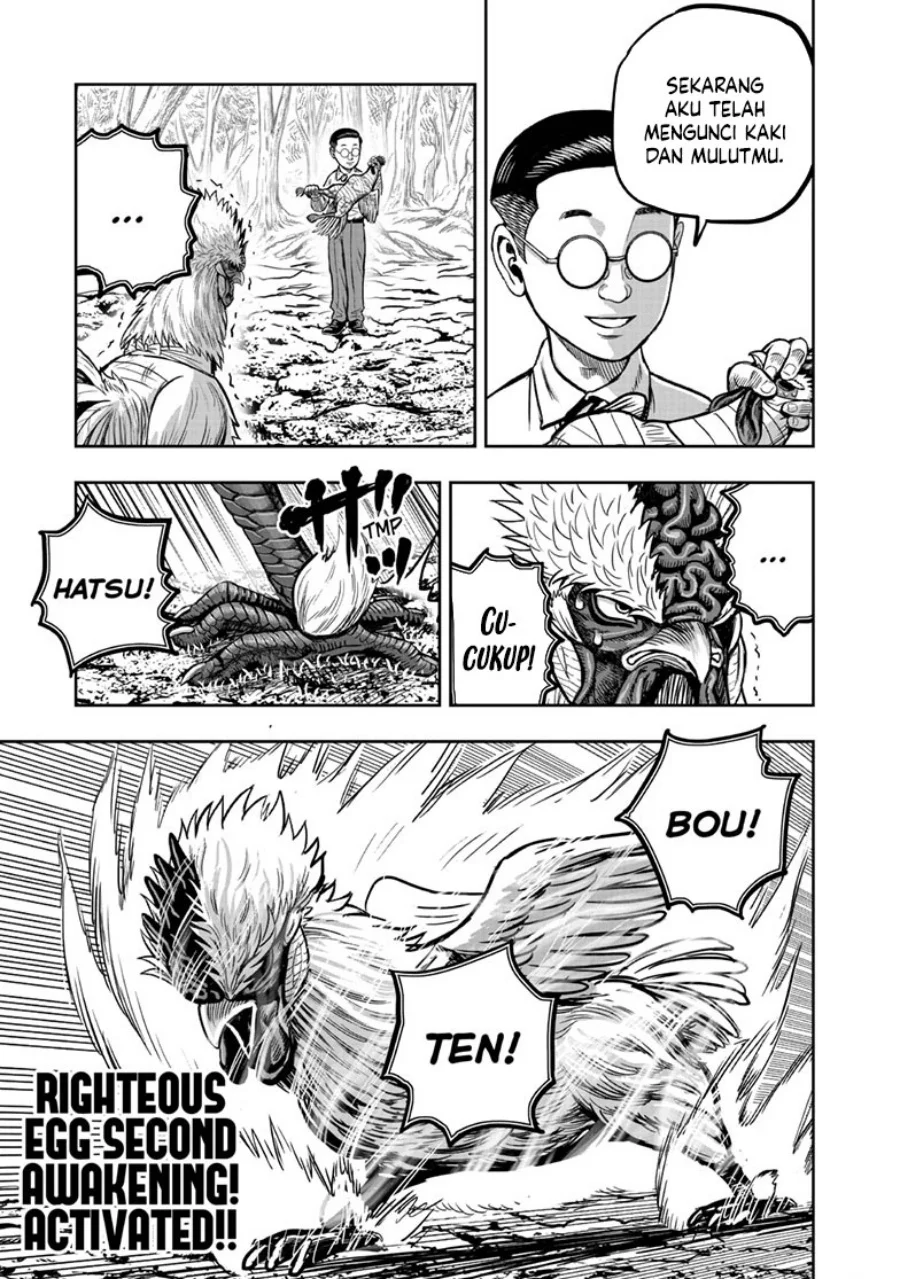 Rooster Fighter Chapter 39 Gambar 22