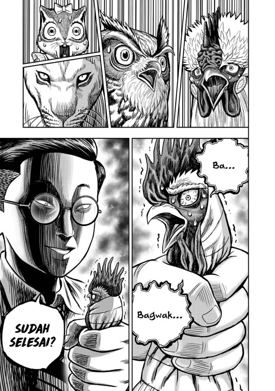 Rooster Fighter Chapter 39 Gambar 38