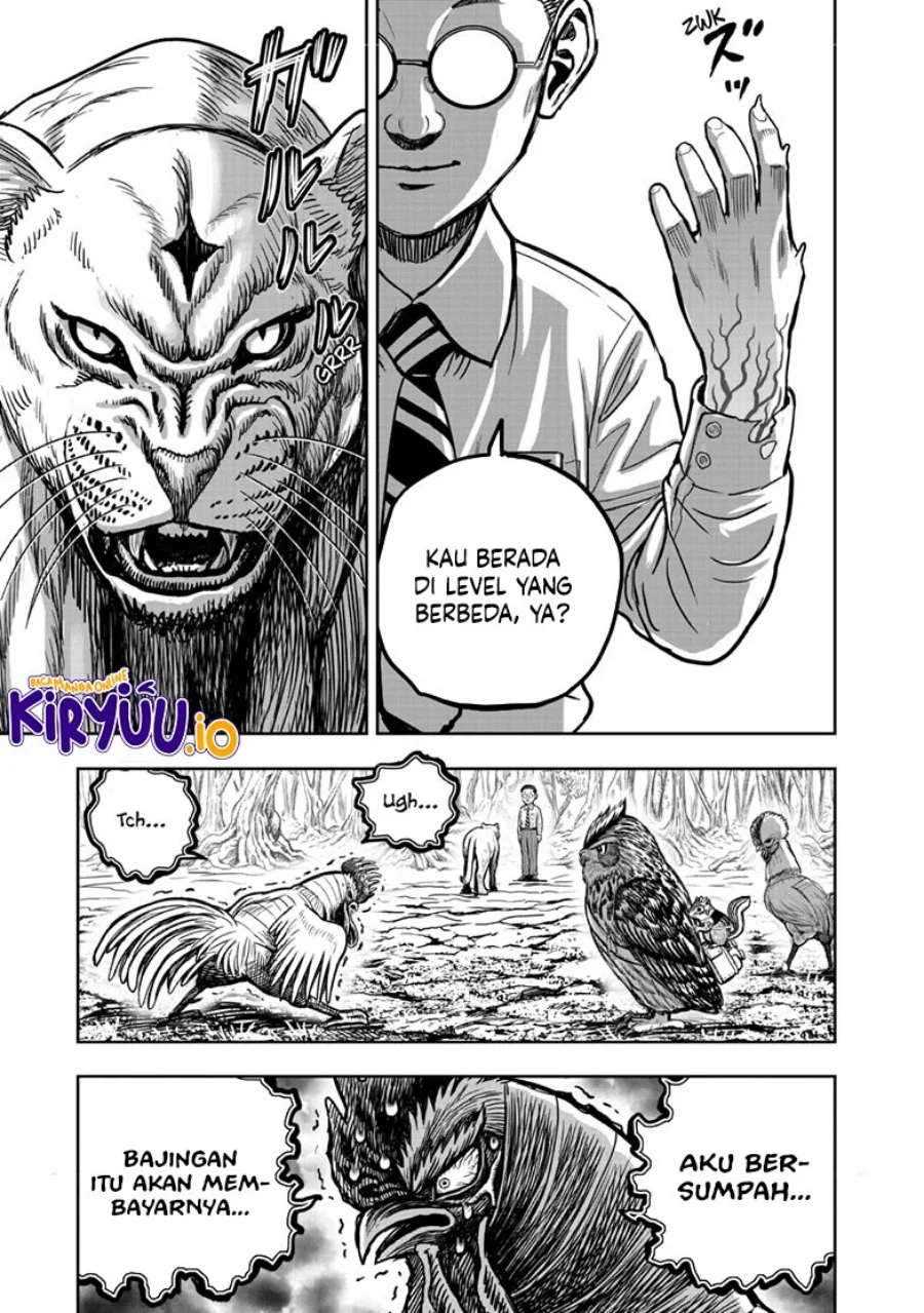 Rooster Fighter Chapter 39 Gambar 42
