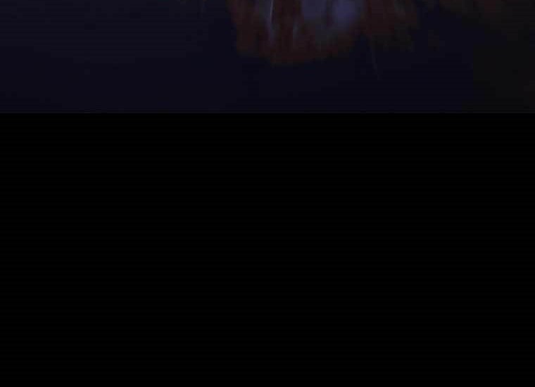 Skeleton Soldier Couldn’t Protect the Dungeon Chapter 253 Gambar 72