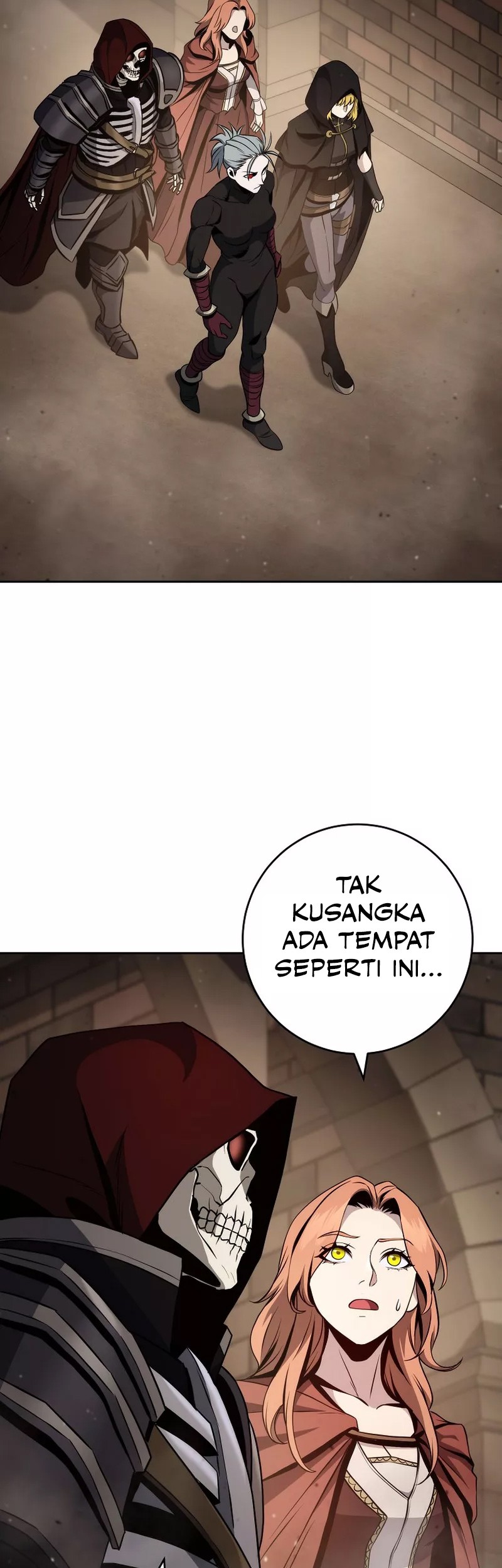 Skeleton Soldier Couldn’t Protect the Dungeon Chapter 256 Gambar 24