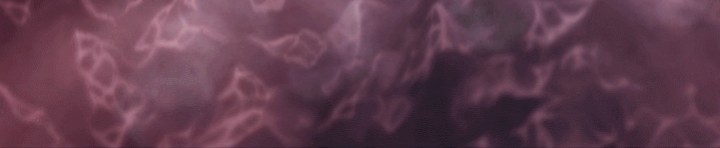 Skeleton Soldier Couldn’t Protect the Dungeon Chapter 217 Gambar 38