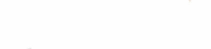 Skeleton Soldier Couldn’t Protect the Dungeon Chapter 346 Gambar 44