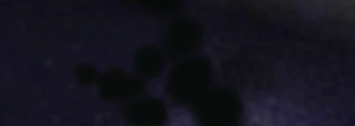 The 31st Piece Turns the Tables Chapter 88 Gambar 30