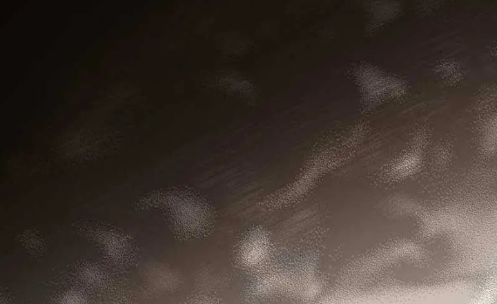 The Acting Empress Still Spends the First Night Chapter 11 Gambar 40