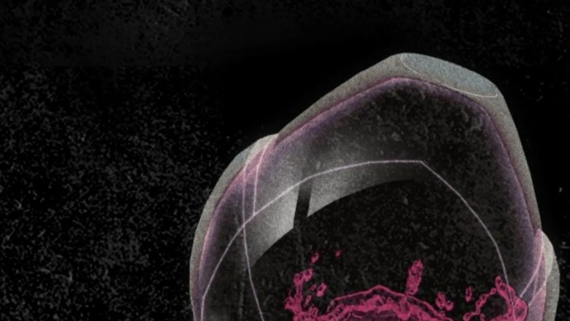 The Acting Empress Still Spends the First Night Chapter 22 Gambar 11