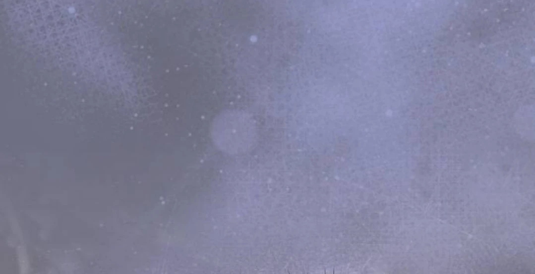 The Acting Empress Still Spends the First Night Chapter 38 Gambar 67