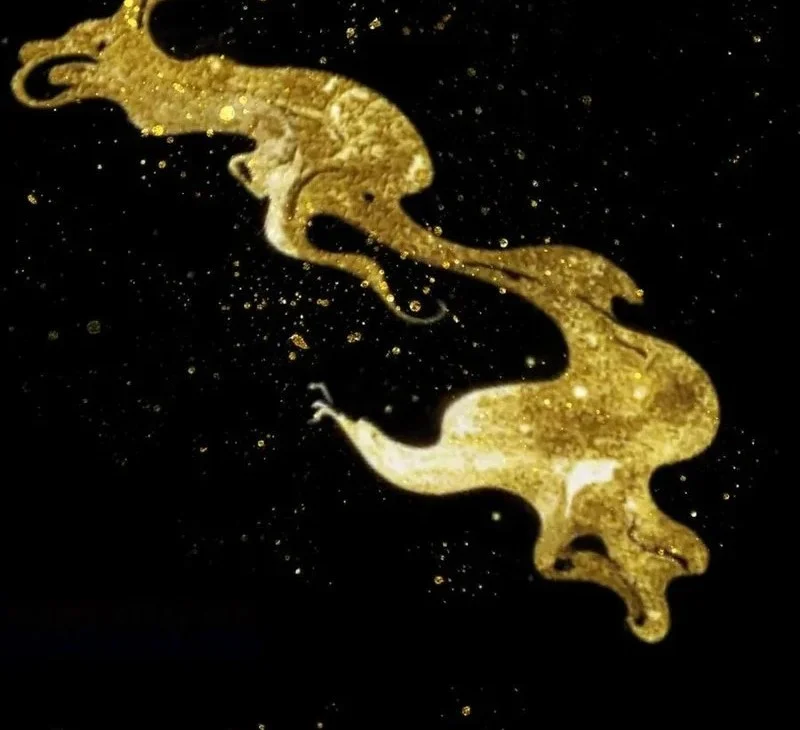 The Heavenly Path Is Not Stupid Chapter 148 Gambar 12