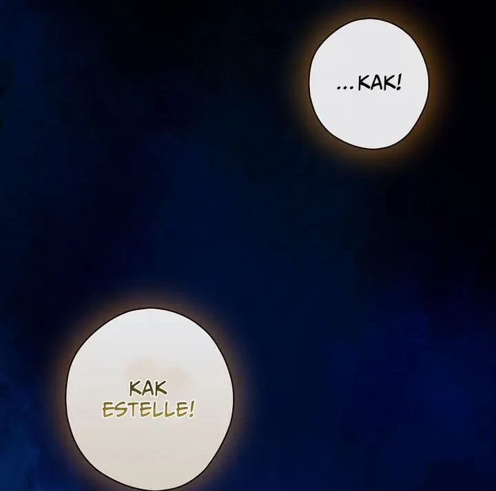 The Lady’s Dark Secret Chapter 35 Gambar 56