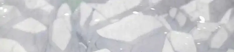 The Returned C-Rank Tank Won’t Die! Chapter 42 Gambar 89