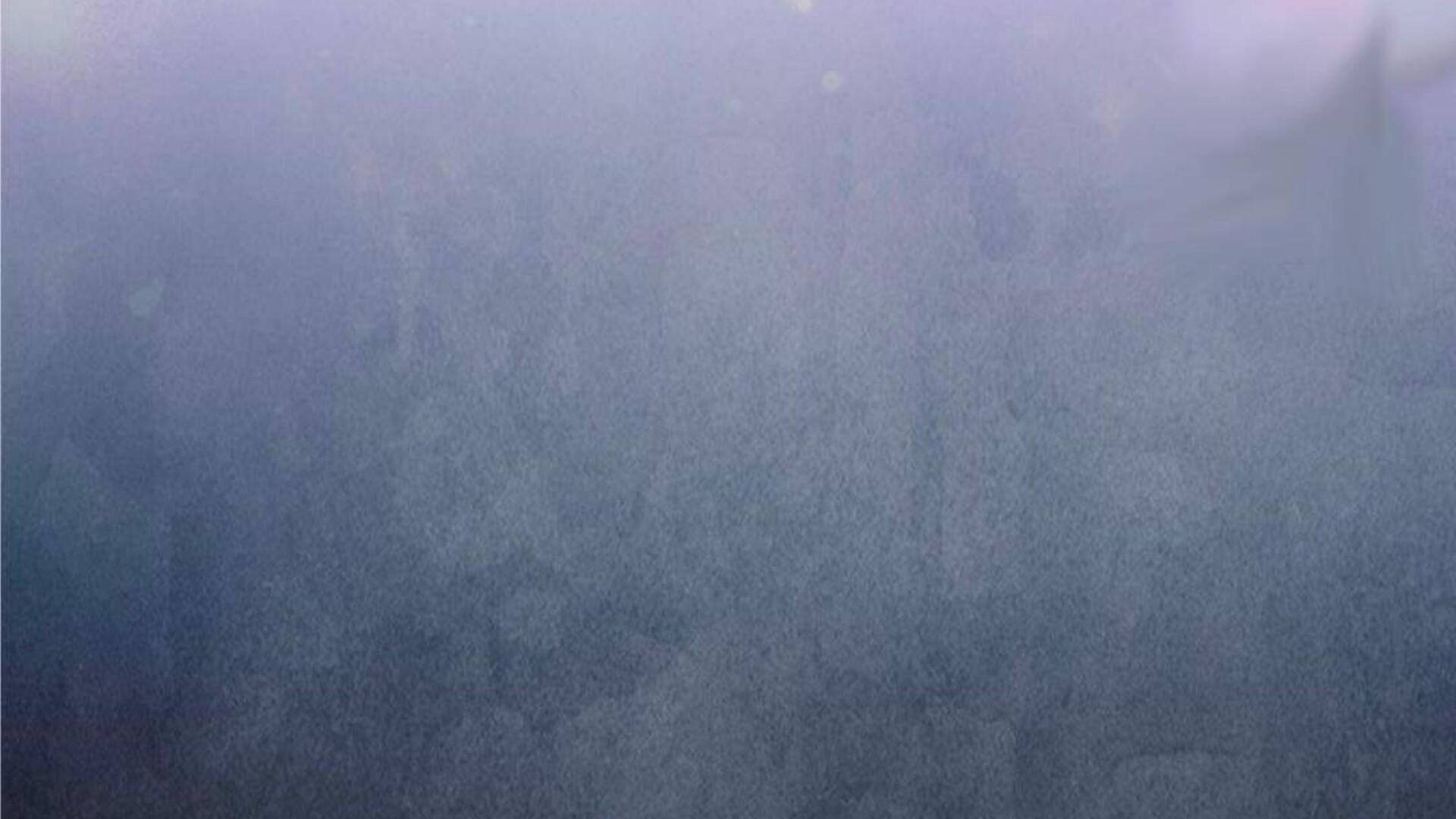 The Snow Leopard Baby of the Black Leopard Family Chapter 30 Gambar 215