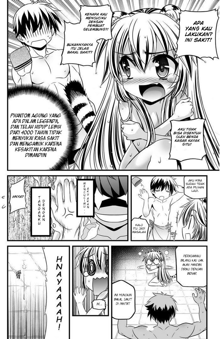 My Love Tiger Chapter 07 Gambar 11