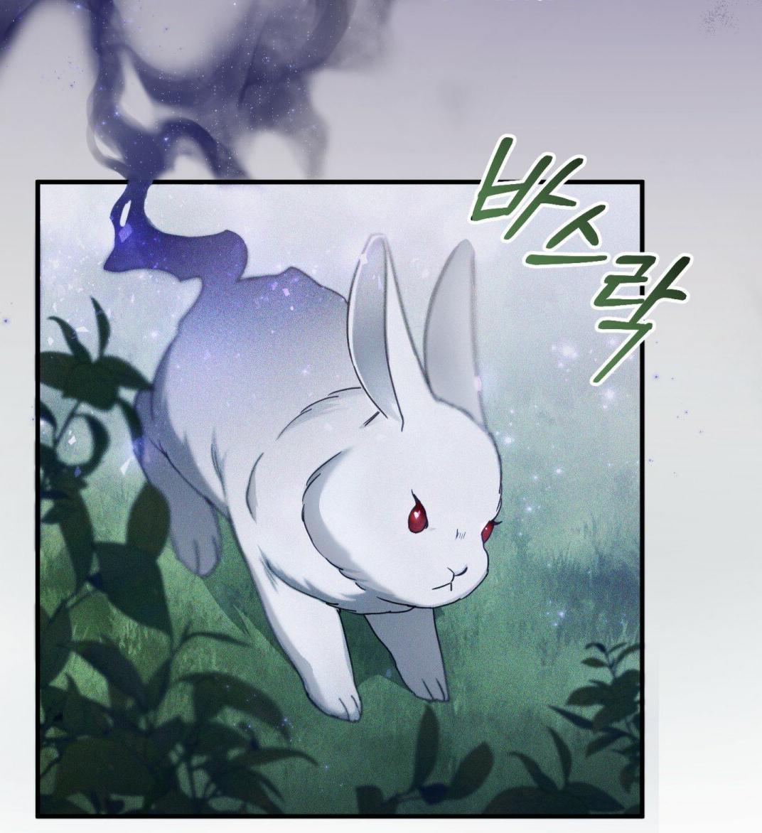 Shadowless Night Chapter 04 Gambar 8