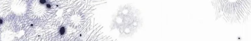 Hidden Love (Zhu Yi) Chapter 57 Gambar 45