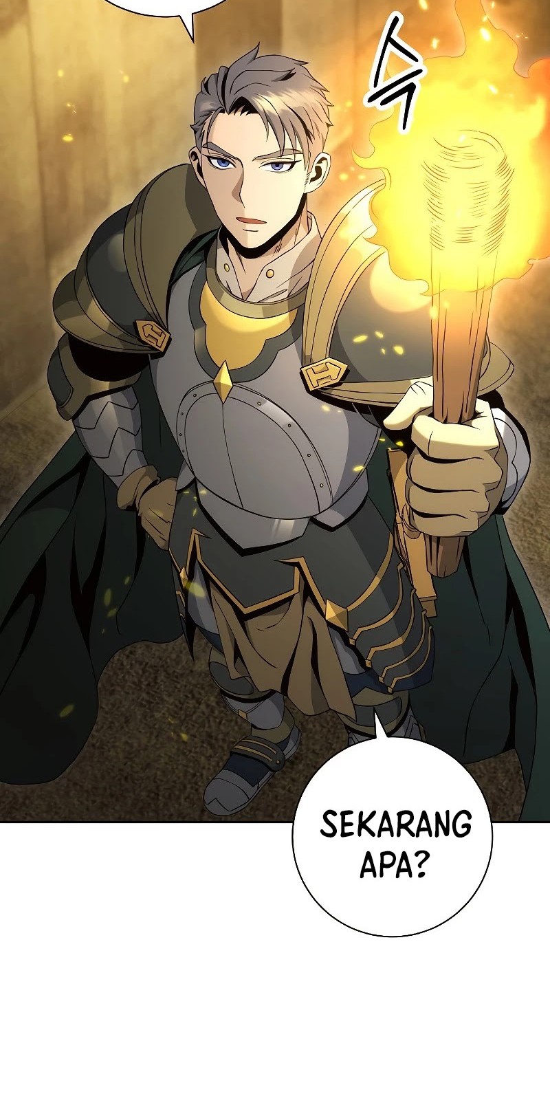 Skeleton Soldier Couldn’t Protect the Dungeon Chapter 179 Gambar 61