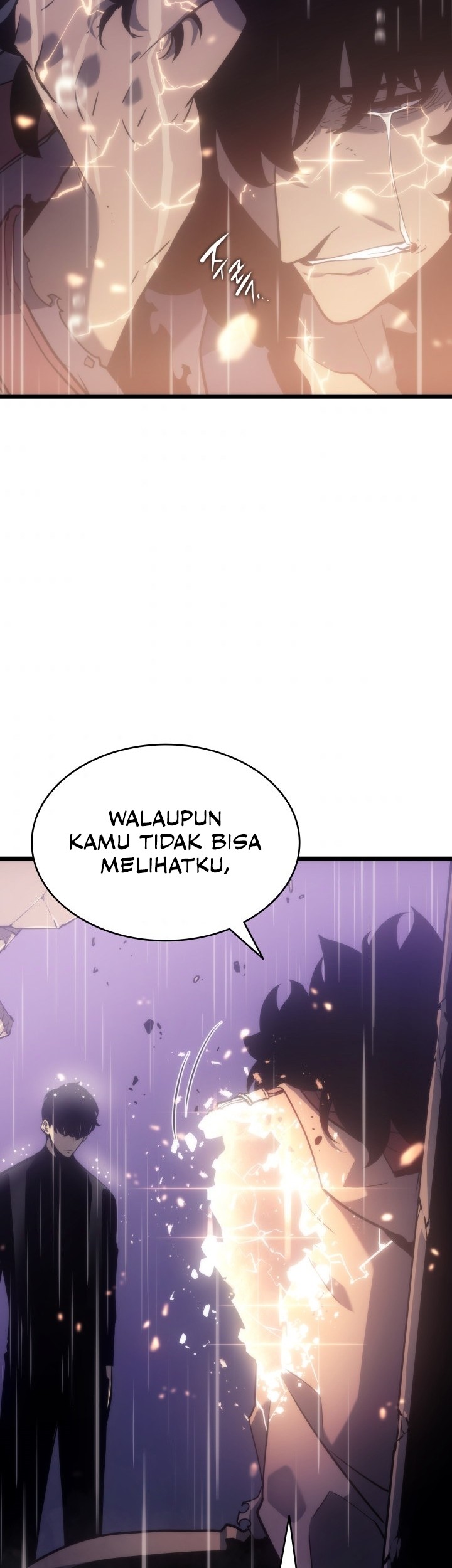 Solo Leveling Chapter 166 Gambar 30