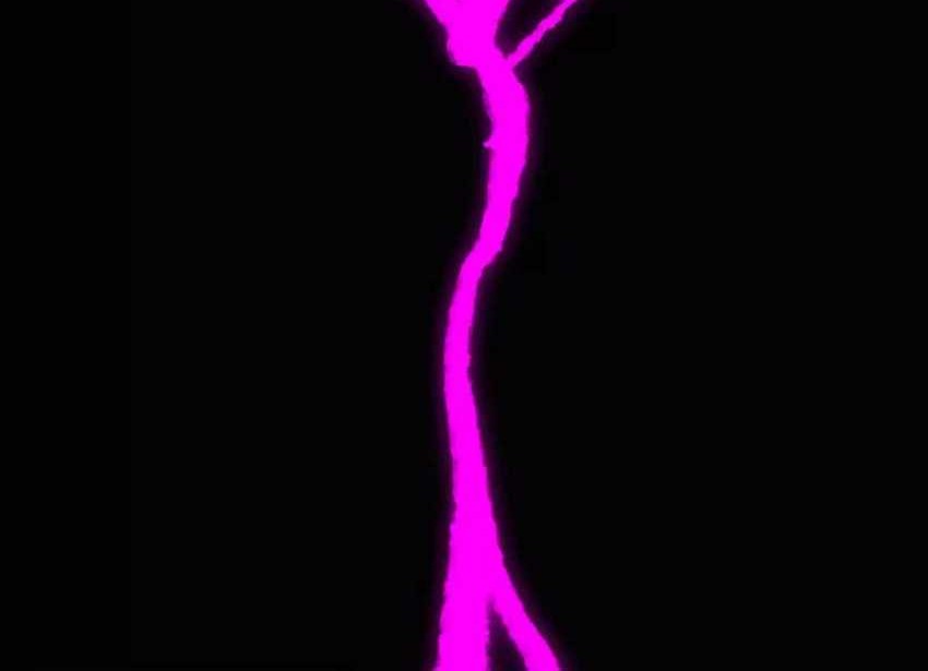 Han Dae Sung Returned From Hell Chapter 73 Gambar 49