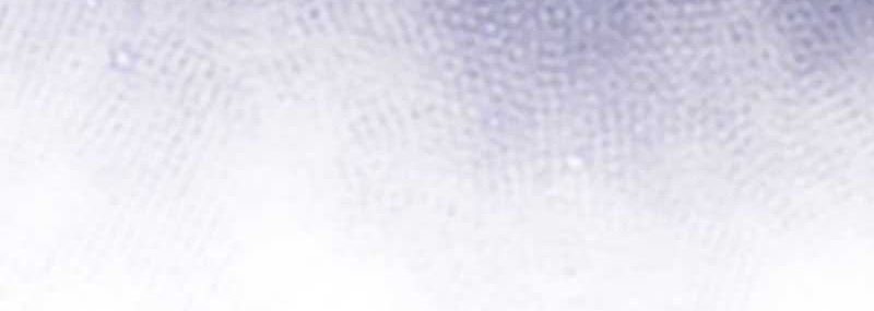 The 31st Piece Turns the Tables Chapter 38 Gambar 57